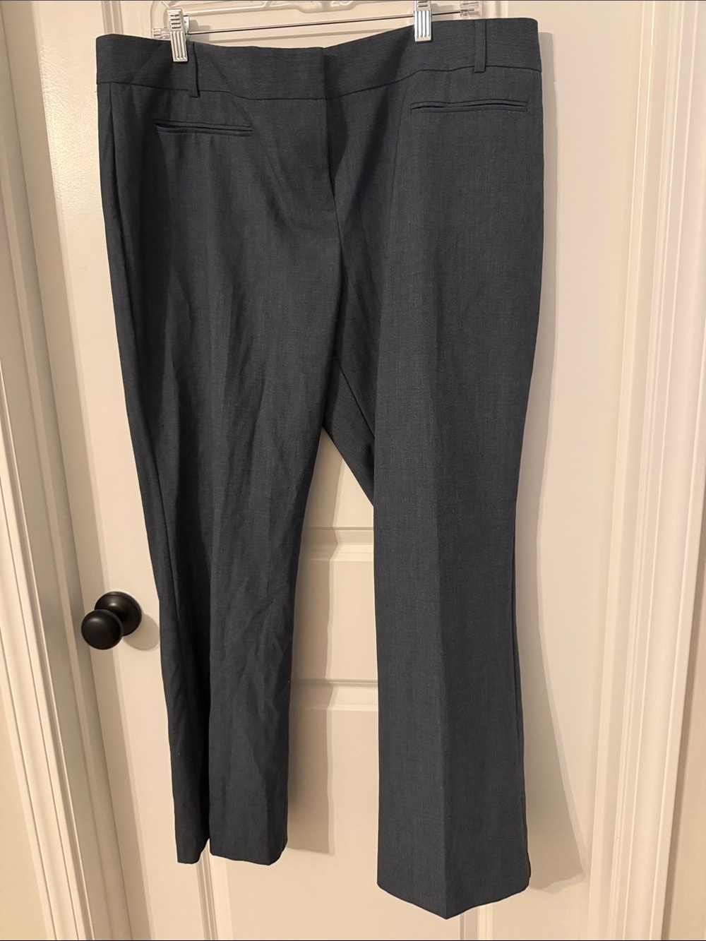 Van Heusen Women's Dark Gray Boot Cut Dress Pants